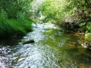 Rio Ovelha, na propriedade